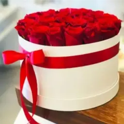 بوكس دائري و20 جوري احمر